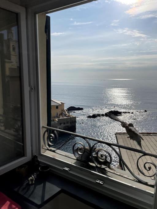 Moonlight In Boccadasse Genua